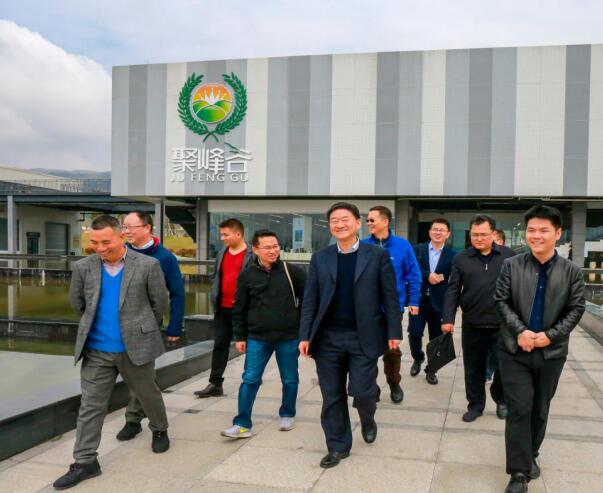 集团党委书记、董事长任丁率队调研聚峰谷